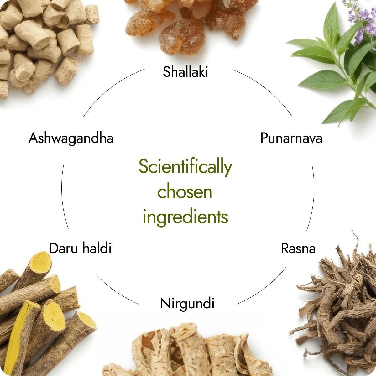 6 key ingredients in Kapiva Artho Sure Juice including shallaki, punarnava, rasna, nirgundi, daru haldi and ashwagandha