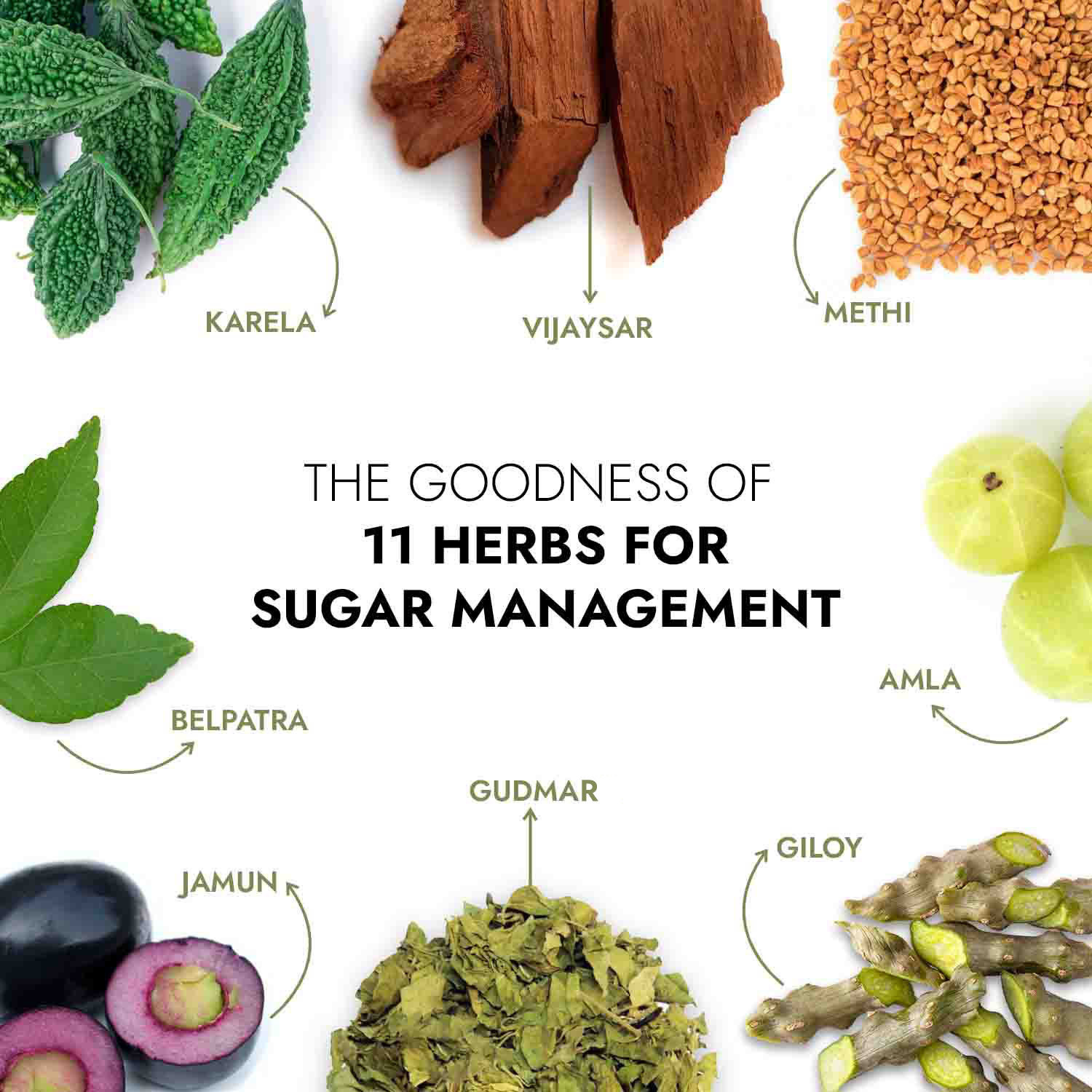 Kapiva Dia Free Juice 11 herbs for sugar management including Karela, Vijaysar, Methi, Jamun, Gudmar, Giloy, Amla and Belpatra