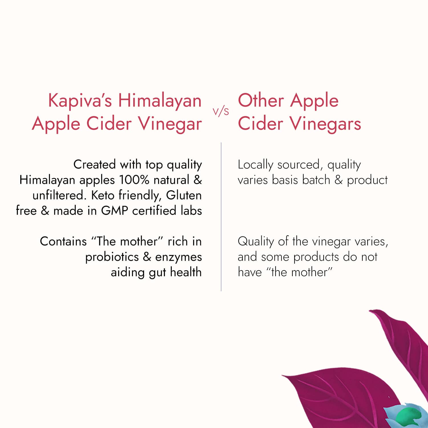 Apple Cider Vinegar Drink with "The Mother" Vinegar Kapiva