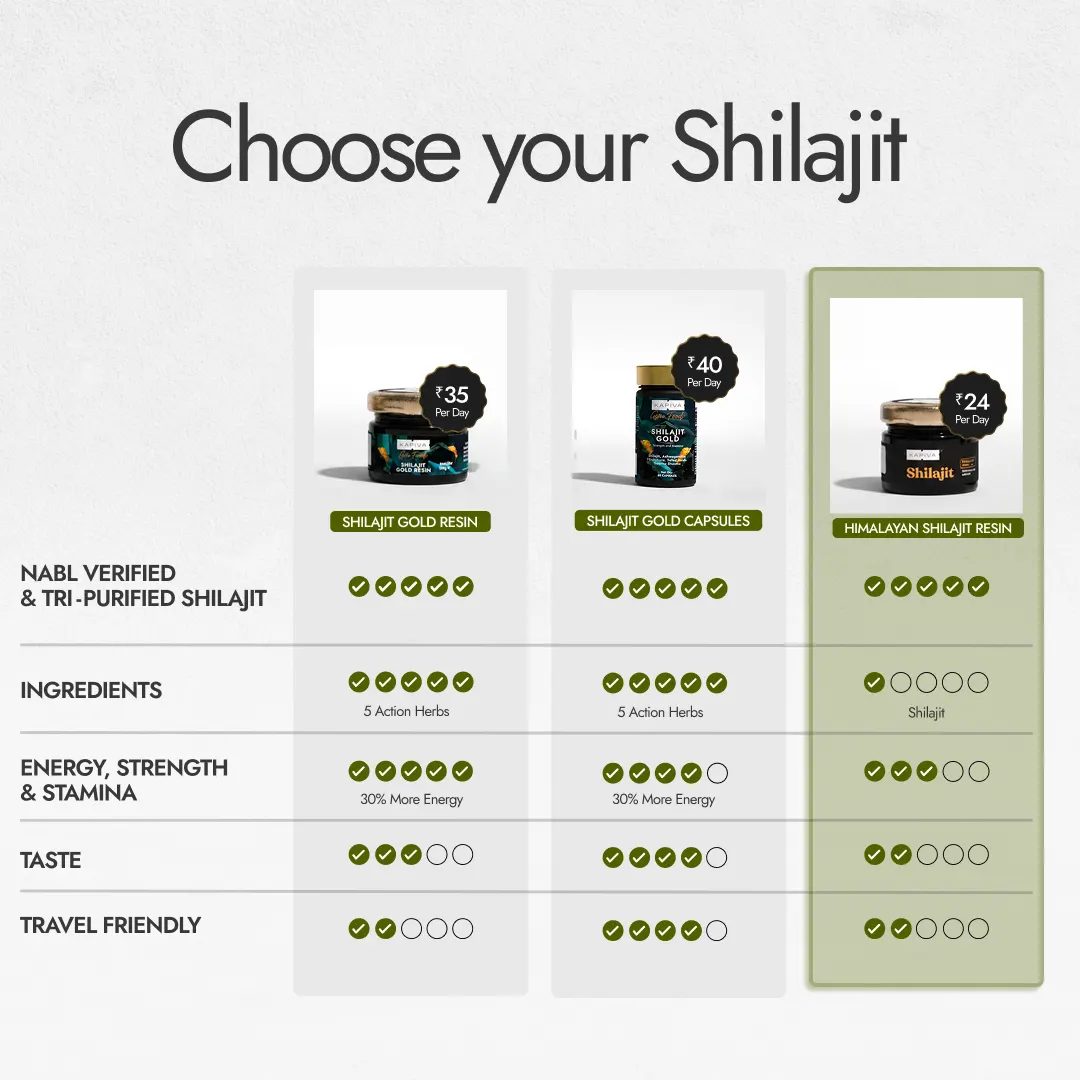 Himalayan Shilajit Resin