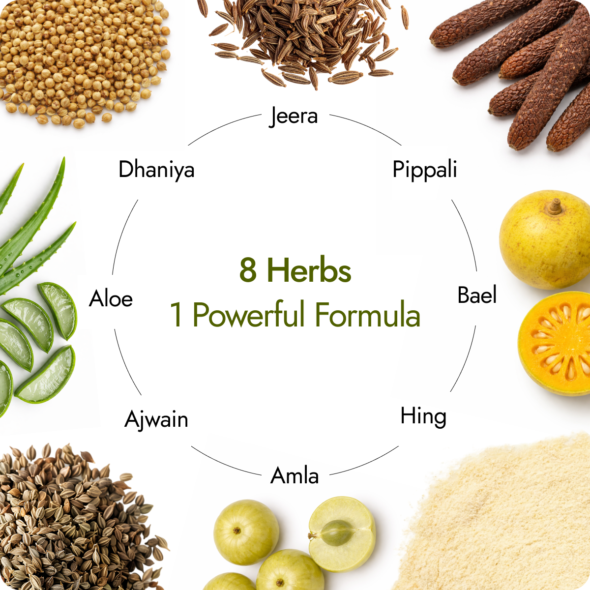 herbs in Kapiva Digesti Care Plus Juice including jeera, pippali, bael, hing, amla, ajwain, aloe and dhaniya