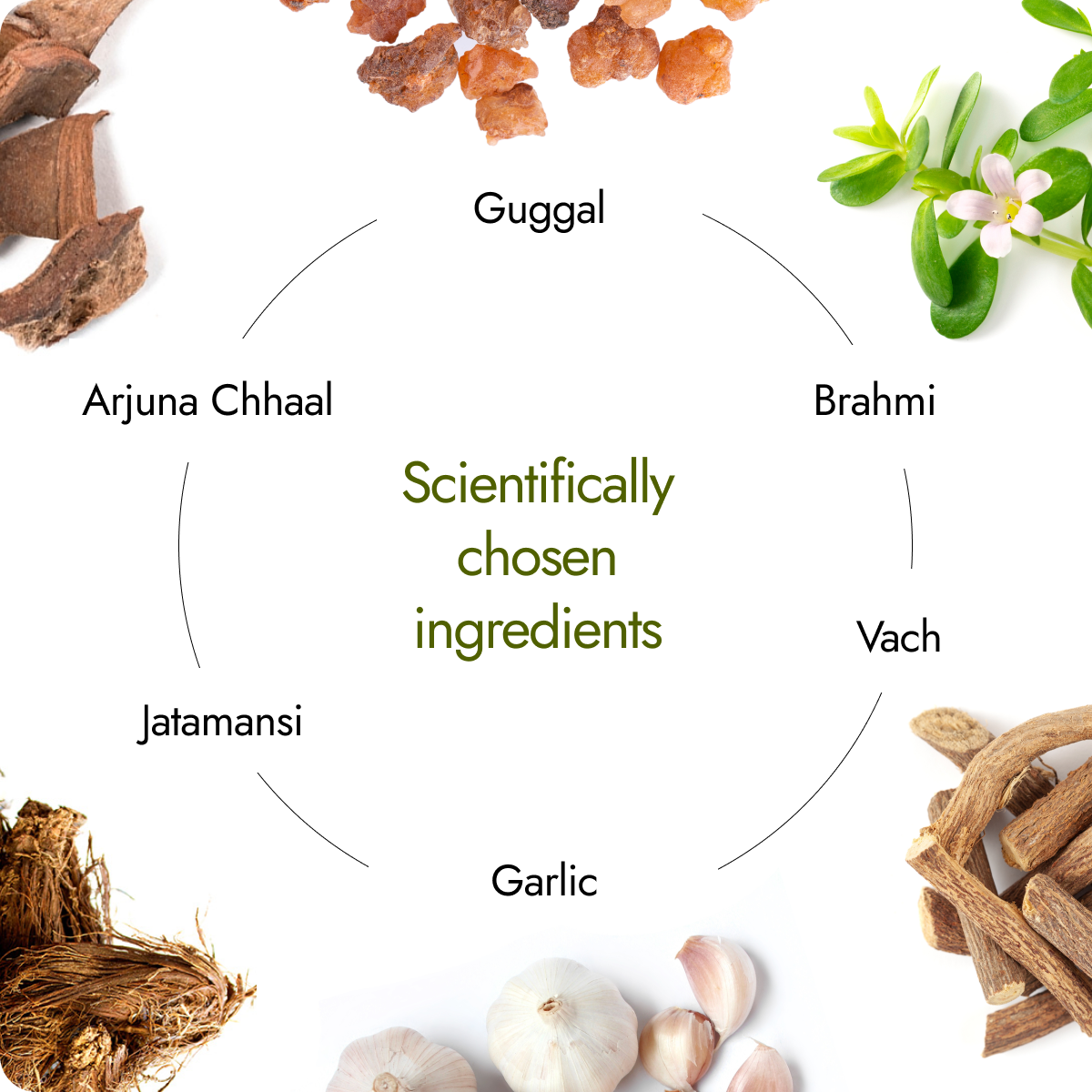 Kapiva BP Care Juice scientifically chosen ingredients including Guggal, Brahmi, Vach, Garlic, Jatamansi and Arjuna Chhaal