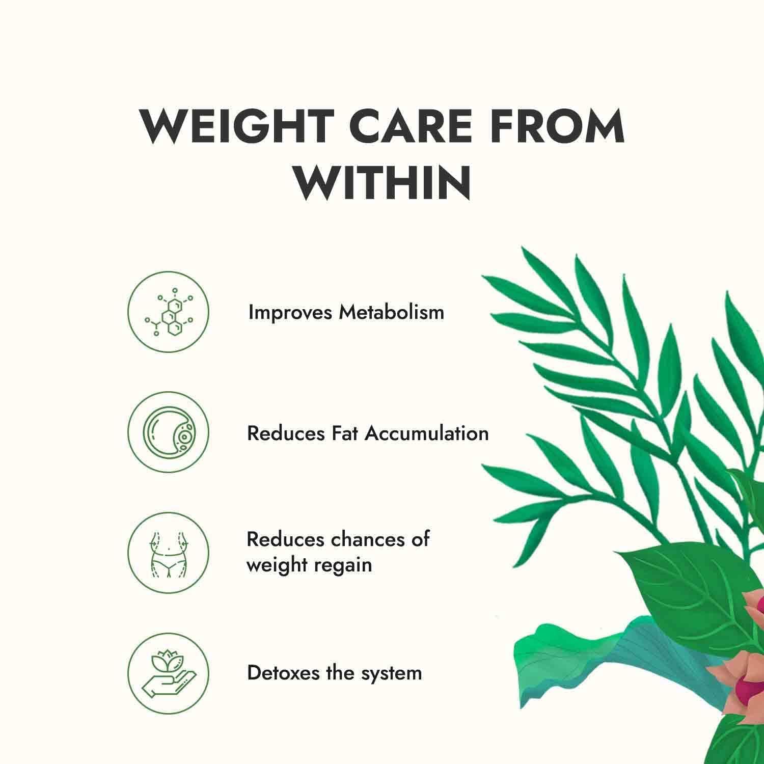 Get Slim - Green Tea