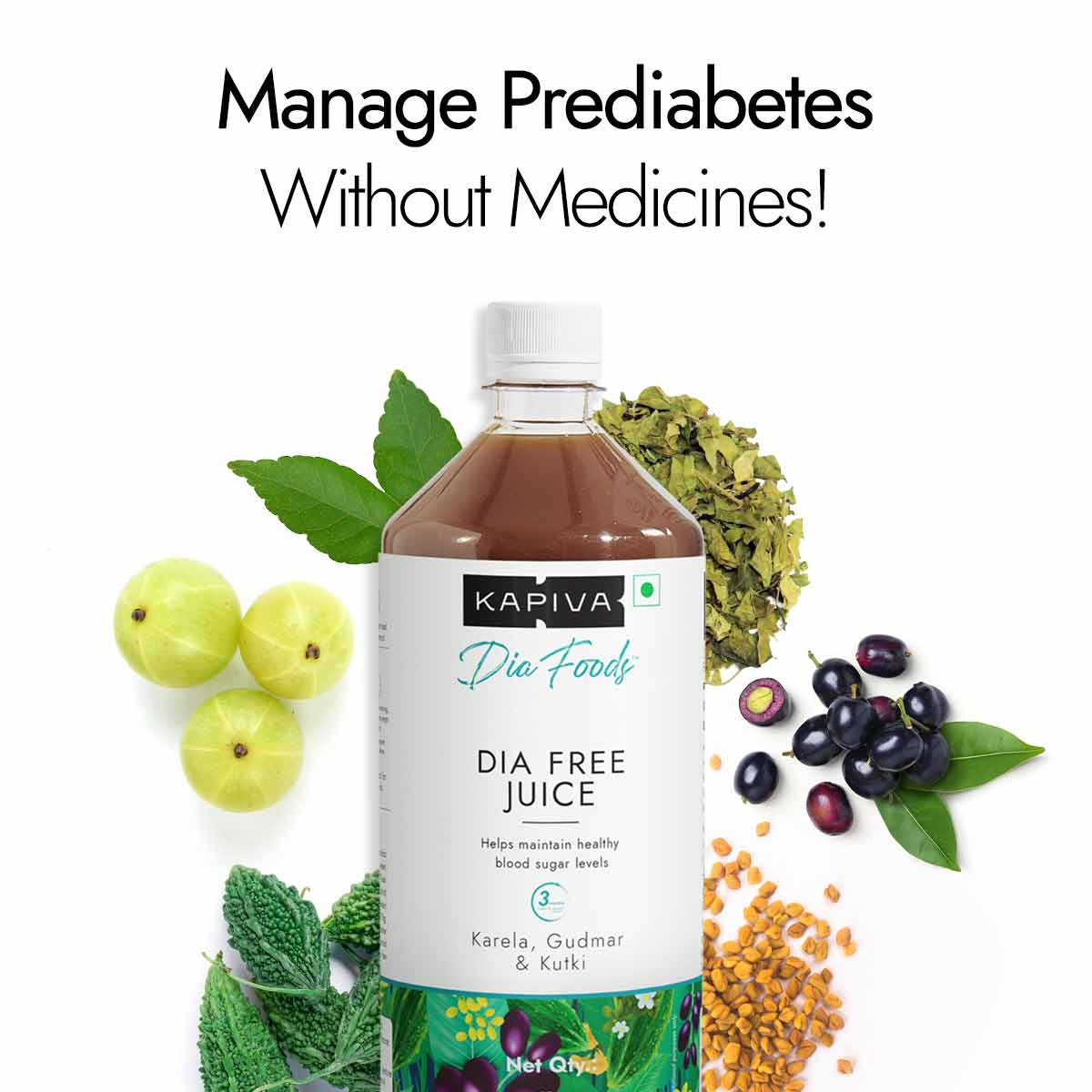 

Dia Free Juice - Manage Prediabetes With Ayurvedic Herbs