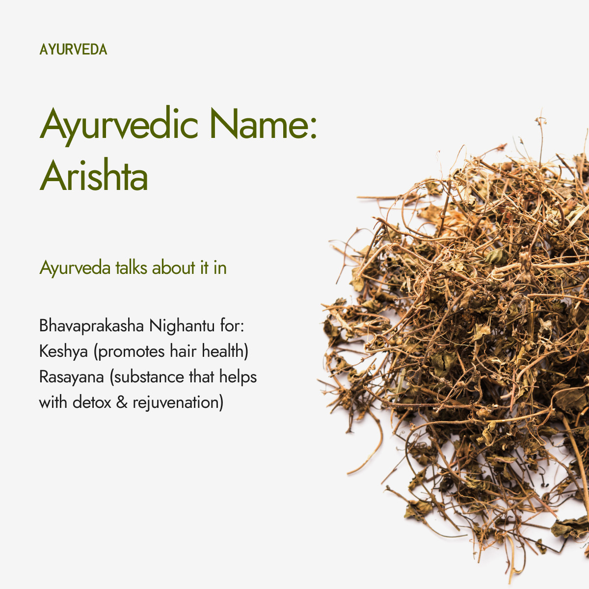 Organic Bhringraj Powder