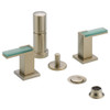 Bidet Faucet Less Handles in Brushed Nickel Finish