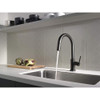 VoiceIQ Single-Handle Pull-Down Kitchen Faucet in Matte Black Finish