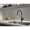 VoiceIQ Single-Handle Pull-Down Kitchen Faucet in Matte Black Finish