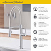 Semi Pro Pull-Down Dual Spray Kitchen Faucet with Spring Spout in Polished Chrome
