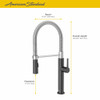 Semi Pro Pull-Down Dual Spray Kitchen Faucet with Spring Spout in Polished Chrome