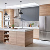 Semi Pro Pull-Down Dual Spray Kitchen Faucet with Spring Spout in Stainless Steel