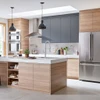 Wall-Mount Swing Arm Pot Filler Kitchen Faucet in Stainless Steel