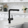 526367 Linus Single-Lever Pull-Out Kitchen Faucet with 1.5 GPM in Anthracite