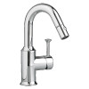 Pull-Down 2.2 GPM Bar Faucet with Adjustable Spray Patterns in Chrome