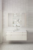 P2C2036D4FBFT PL Portray 20-in x 36-in Cabinet, Bevel Edge P2C2036D4FBFT PL Portray 20-in x 36-in Cabinet, Bevel Edge
