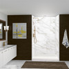 TWK603696-KI80G Titan 64-in x 39-in x 96-in Shower Wall Trimmable Kit, Summit Gold (Glossy)