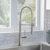 Catris Semi-Pro 1.5 GPM Faucet, PVD Steel