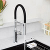 Catris Flexo Semi-Pro 1.5 GPM Faucet, Chrome