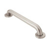 Grab Bar R8916 Stainless 16-in Concealed Screw Grab Bar