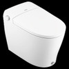 ET2200 Bidet Faucet
