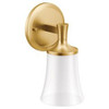 Flara YB0361BG One Globe Bath Light