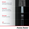 9038474.002 Spectra eTouch 7 Inch 1.8 gpm/6.8 L/min Water Saving Fixed Showerhead, Polished Chrome 