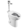 6247161.002 Selectronic Diaphragm FV 1.6 GPF and 6.0 LPF Ultima Selectronic Exposed Toilet Flush Valve, Diaphragm Type, Battery, Polished Chrome 