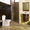 American Standard 2786.128.020One-Piece 1.28 GPF Elongated Right Height Toilet with Seat and 12-in Rough-In