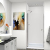 LSD327006C-BS Lyna 32-in x 70-in Pivot Shower Door, Brushed Stainless 