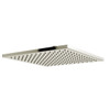 492PN 12-in Rain Showerhead, Polished Nickel