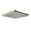 478PN 8-in Rain Showerhead, Polished Nickel