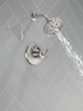 T17233-SS Kayra Monitor 17 Series Shower Trim, Stainless