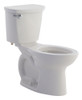Right Height Elongated 1.28 Gpf 2-Piece Toilet, in Bone