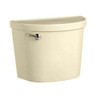 Toilet Tank, in Bone