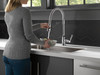 9690-DST Broderick Single Handle Pull Down Kitchen Faucet with Spring Spout, Chrome