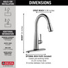 9113TV-AR-DST Essa VoiceIQ Single Handle Pull Down Faucet with Touch2O Technology, Arctic Stainless