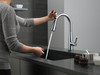 9113TV-AR-DST Essa VoiceIQ Single Handle Pull Down Faucet with Touch2O Technology, Arctic Stainless