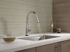 9113TV-DST Essa VoiceIQ Single Handle Pull Down Faucet with Touch2O Technology, Chrome