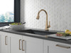 19802TZ-CZ-DST Lenta Single Handle Pull Down Kitchen Faucet with Touch2O Technology, Champagne Bronze