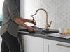 19802TZ-CZ-DST Lenta Single Handle Pull Down Kitchen Faucet with Touch2O Technology, Champagne Bronze