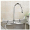 1.5 GPM Top Mount 8" Gooseneck Spout Faucet with Spray in Polished Chrome