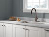 Delta 9113TV-RB-DST Essa VoiceIQ Single Handle Pull Down Faucet with Touch2O Technology, Venetian Bronze