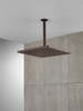 52159-RB25 Universal Showering Components Single-Setting Metal Raincan Shower Head, Venetian Bronze