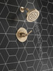 T14235-CZ SAYLOR Monitor 14 Series Shower Trim, Champagne Bronze