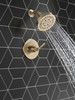 T14235-CZ SAYLOR Monitor 14 Series Shower Trim, Champagne Bronze