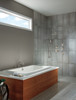 T14253-SS-WE Vero Monitor 14 Series Shower Trim, Stainless