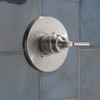 T14035-SS SAYLOR Monitor 14 Series Valve Only Trim, Stainless