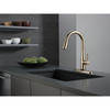 9113TV-CZ-DST Essa 11.88-in x 10.75-in x 16.00-in VoiceIQ Single-Handle Pull-Down Faucet with Touch20 Technology, Champagne Bronze