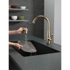 9113TV-CZ-DST Essa 11.88-in x 10.75-in x 16.00-in VoiceIQ Single-Handle Pull-Down Faucet with Touch20 Technology, Champagne Bronze