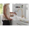 19893Z-CZSD-DST Boyd 11.63-in x 10.75-in x 16.50-in Single-Handle Pull-Down Kitchen Faucet with Soap Dispenser and Shieldspray Technology, Champagne Bronze